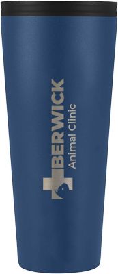 Custom Business Gifts: Iron Flask Classic Tumbler 2.0 24 oz