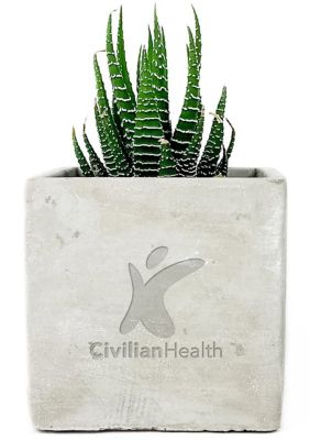 Desk Accessories: Desk Plant Mini Parker Line