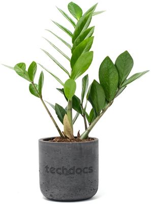 Desk Accessories: Desk Plant Large Wilson Line