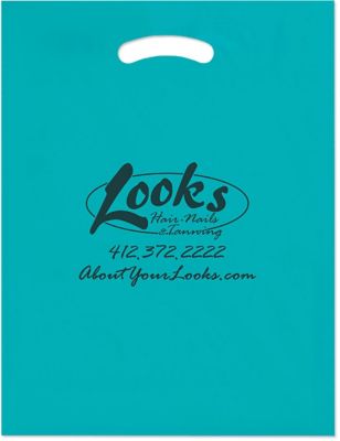 All Products: Colored Goodie Bag 12 x 15 x 3