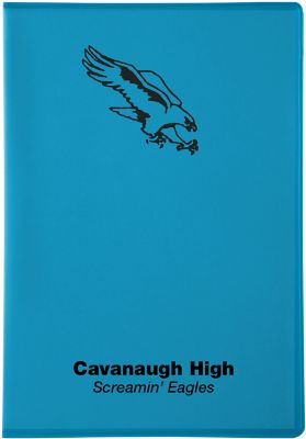 Planners: Lexington Translucent Desk Planner 7 x 10