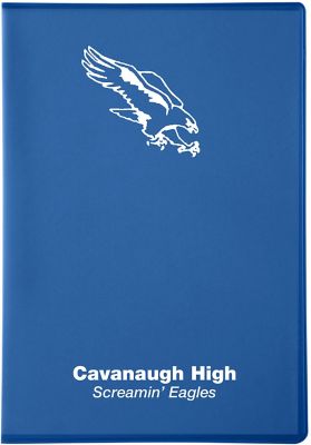 Planners: Lexington Translucent Desk Planner 7 x 10