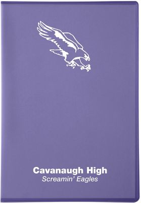 Planners: Lexington Translucent Desk Planner 7 x 10