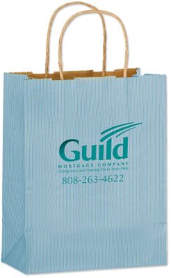 Plastic Bag Ban: Matte Finish Bag 8 x 4.75 x 10.5