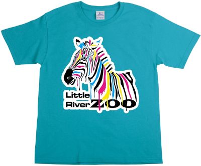 Apparel: Full Color Youth 100% Cotton T-Shirt