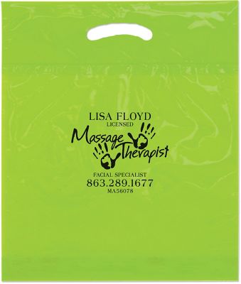Plastic Bag Ban: OXO Reusable Die Cut Bag 15 x 18 x 3