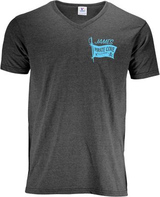 Basic Tees: Men's 50/50 V-Neck T-Shirt Scrn Prt