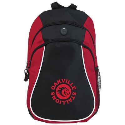 School Promotional Items: Value Backpack
