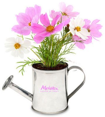 Watering Can Planter Kit