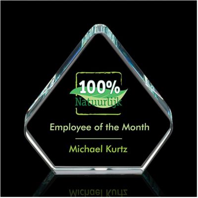 Custom Awards & Plaques: Gersham Award Full Color Vivid Print
