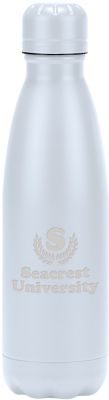 Metal Bottles: Voyager Stainless Steel Bottle 17 oz
