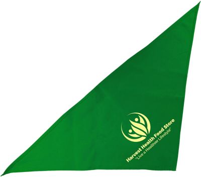 Large Triangle Bandana