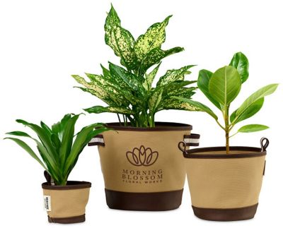 Housewares: Heritage Supply Plant, Grow And Store Trio Of Pot