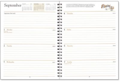 Stock Inserts: Refill-- Weekly Desk Diary (Dw)