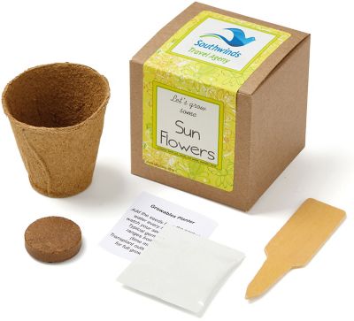 Sunflowers Growables Planter In Kraft Gift Box