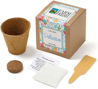 Sunflower Growables Planter In Kraft Gift Box