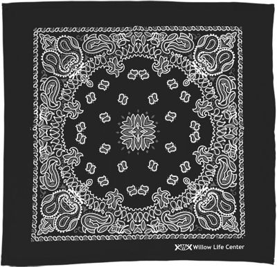 Headwear: Paisley Pattern Bandana 22 Inch
