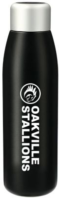 UV Sanitizer Copper Vacuum Bottle 18 oz