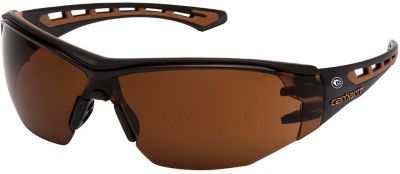Carhartt Easley Safety Glasses