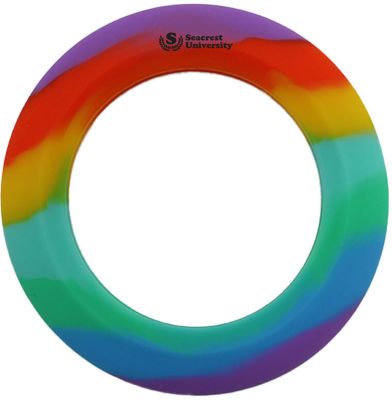 Rainbow Wrist Disc