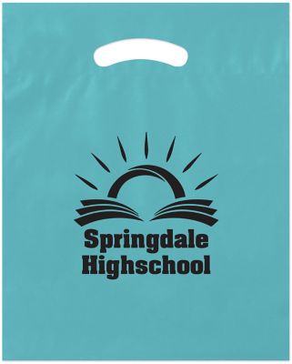 Educational Promotional Items: Coloured Goodie Bag 12 x 15 x 3