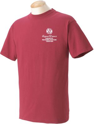 Short Sleeve T-Shirts: Comfort Colors Adult Heavyweight T-Shirt