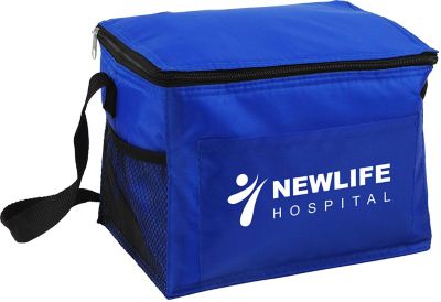 Health & Wellness: Budget Cooler Bag