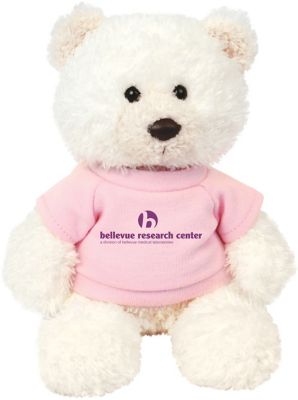 Giveaways for Corporate Events: Baxter, A Chelsea Teddy Bear With T-Shirt