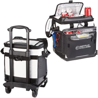 Arctic zone best sale rolling cooler