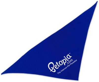Veterinary & Pet Promotional Items: Lil' Doggy Bandana