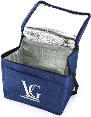 Silver cooler hot sale bag