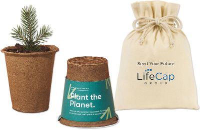 Modern Sprout Tree Kits