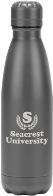 Stainless Tumblers: Voyager Stainless Steel Bottle 17 oz