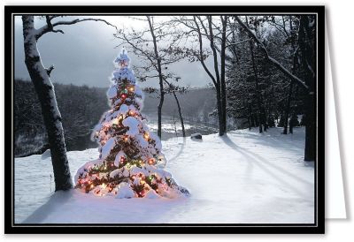 GLOWING TREE HOLIDAY CARD