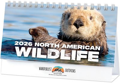 North American Wildlife Full Color Desk Calendar