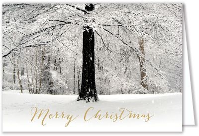 Presentation Collection: White Christmas Card