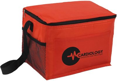 Heart Health Month: Budget Cooler Bag