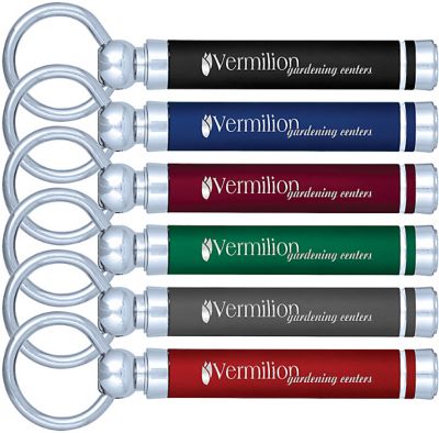 Ad Specialties: Showcase Softex Keychain
