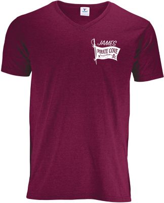 Healthcare: Men's 50/50 V-Neck T-Shirt Screen Print