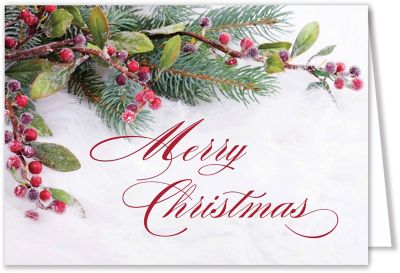 New Products: Frosted Beauty Holiday Card